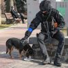 ​Теракт у Києві: стрільця ліквідувала поліція у супермаркеті