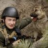 ​Під час бою в окоп до нацгвардійців заховався пес та залишився з бійцями. Історія порятунку Фауста