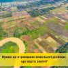​Право на отримання земельної ділянки: що варто знати?