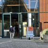 ​Швейцарці відхилили на референдумі ідеї про посилення нейтралітету та нові правила щодо санкцій