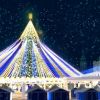 ​У Києві все ж встановлять головну новорічну ялинку