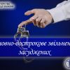 ​Умовно-дострокове звільнення засуджених за новими правилами: підготовка до звільнення, сприяння в соціальній адаптації та профілактика рецидивної злочинності