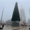 ​У Києві встановлять новорічну ялинку, без святкової ілюмінації та за кошти меценатів