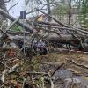 ​Негода в Україні: визначений І рівень небезпеки, є жертви