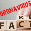 ​Коронавірус COVID-19: не такий страшний як його малюють чи масштабний шахрайський бізнес-проєкт?
