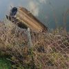 ​Туск: У Польщі, ймовірно, впала російська ракета Х-101