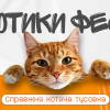 ​КОТИКИ ФЕСТ - наймуркотливіший фестиваль цієї осені