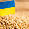 ​Угорщина попросила Європейський Союз продовжити обмеження на імпорт українських зернових і олійних культур до кінця 2023 року