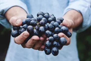 ​Мінагрополітики розраховує на співпрацю з виноробами