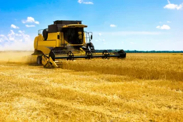 ​Новини України: Світові ціни на пшеницю зростають через зменшення поставок з Росії