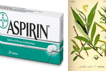 ​Верба, медицина та аспірин: як народилися головні ліки людства