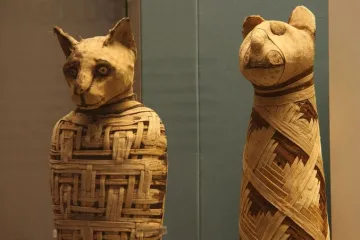 ​У Єгипті 30% мумій порожні