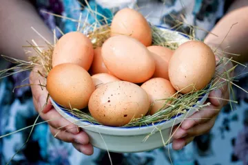 ​Харчові продукти аграрного сектору України дорожчають
