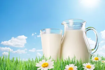 ​Молочне та м’ясне виробництво України скоротило свої обсяги