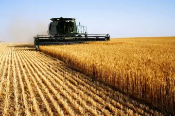 ​Агропромисловість України може отримати 5 мільярдів гривень