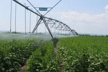​Україна перейматиме агротехнічний досвід Ізраїлю