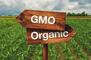 ​Наукові дослідження довели: ГМО не шкодять здоров’ю людини