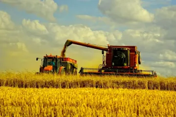 ​В Україні вже зібрали близько 63 млн. тонн зернових