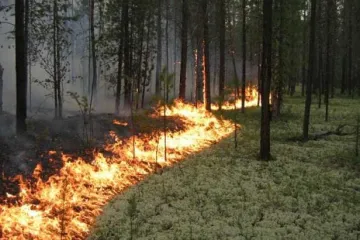 ​Україні загрожує пожежна небезпека