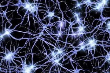 ​Вчені виявили, що на пам’ять, сприйняття запахів й свідомість впливають молекули мозку