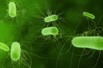 ​Проти бактерій, які стрімко поширюються Землею, не має ліків