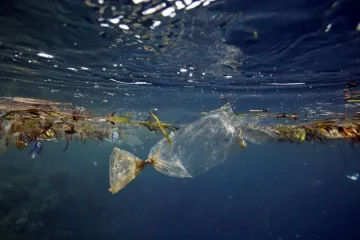 ​У Нідерландах знайшли дієвий спосіб очистити Світовий океан від сміття