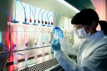 ​Японські вчені відкрили простий спосіб створення стовбурових клітин
