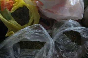 ​Поліцейські Луганщини вилучили велику кількість марихуани