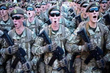 ​Украине нужно срочно готовить армию для вторжения в РФ, и поддержки там демократии &#8212; журналист