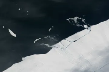 ​От Антарктиды откололся айсберг размером в 400 футбольных полей
