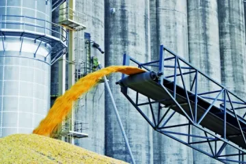 ​ 			 	  	Золоті ворота: вихід на ринок перевалки зерна потребує значних вкладень 	  	 	  