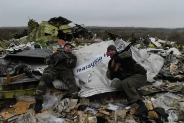 ​В Нидерландах заявили об очевидце по делу о сбивании рейса MH17 над Донбассом