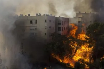 ​Пожар в Израиле: арабы готовятся к войне