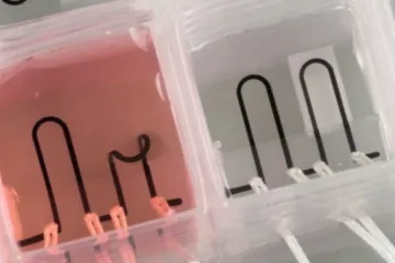 ​Ученые напечатали на 3D принтере сердце на чипе