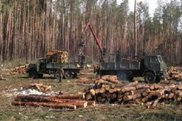 ​ 			 	  	Уничтожение леса. Как ЕС стимулирует украинскую коррупцию 	  	 	  