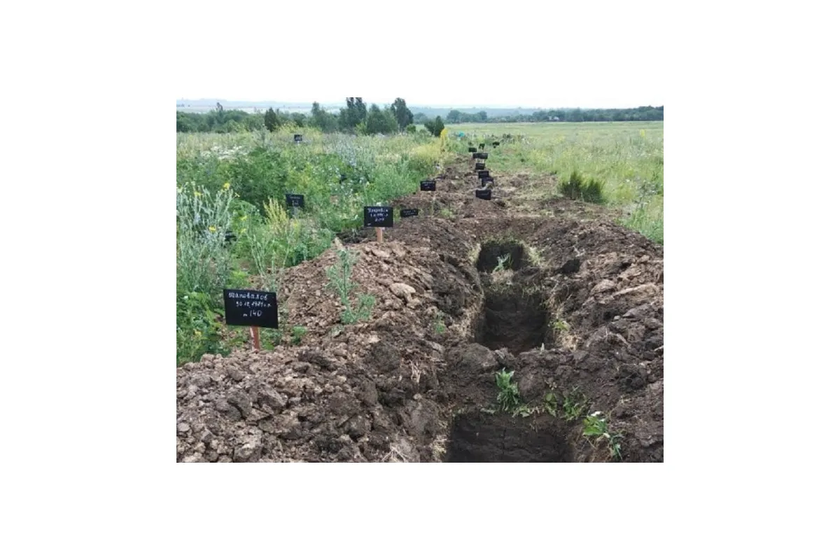 Массово хоронят боевиков? На Донбассе нашли много свежих могил