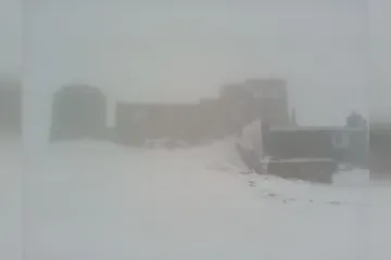 ​Снег и туман: в сети показали фото "зимнего" лета в Карпатах