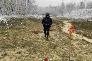 ​​​Біля села на Черкащині знайшли понад сотню боєприпасів 