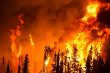 ​Пожары в Австралии замкнулись в заколдованный круг: свежие фото и видео огненного ада