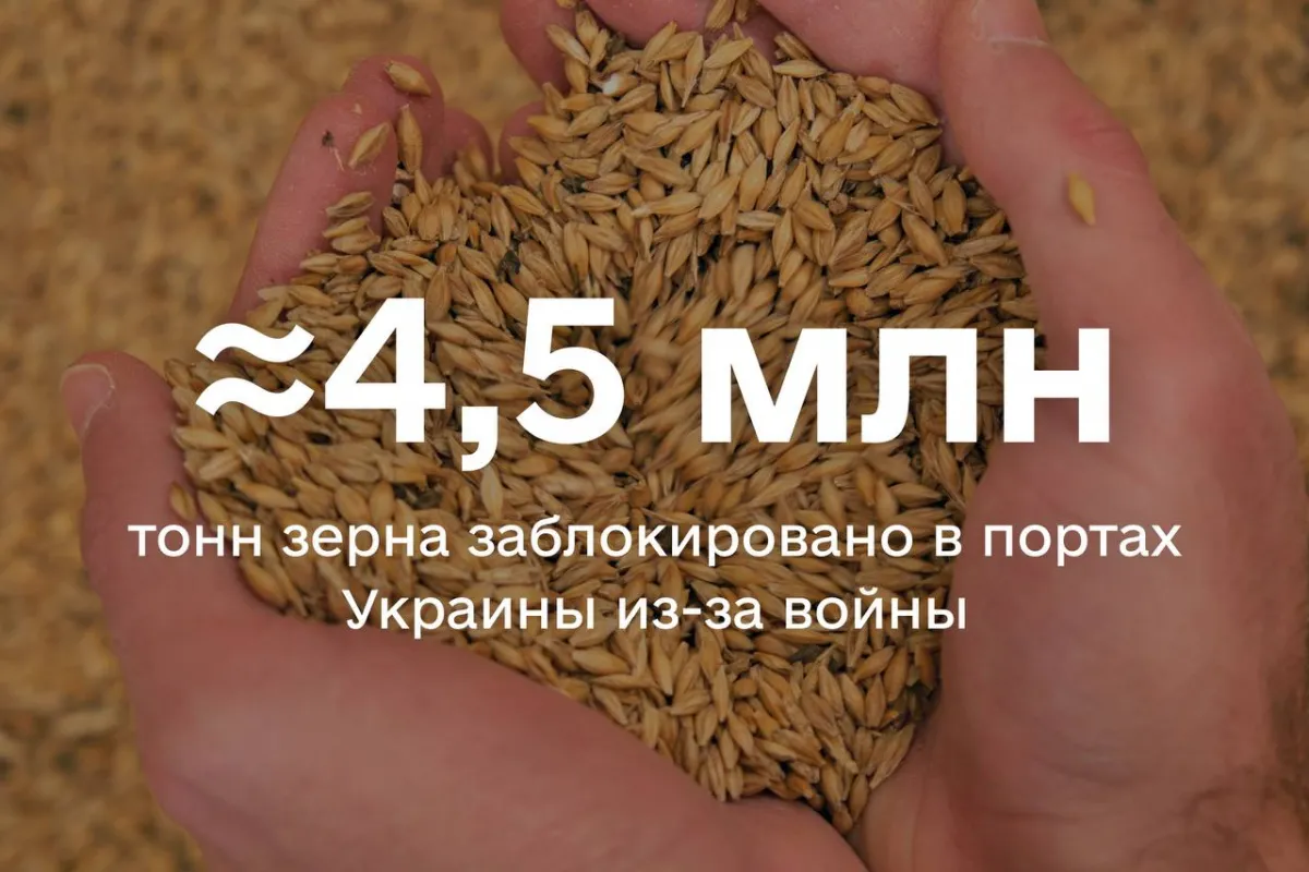 Майже 4,5 млн тонн зерна заблоковано у портах України