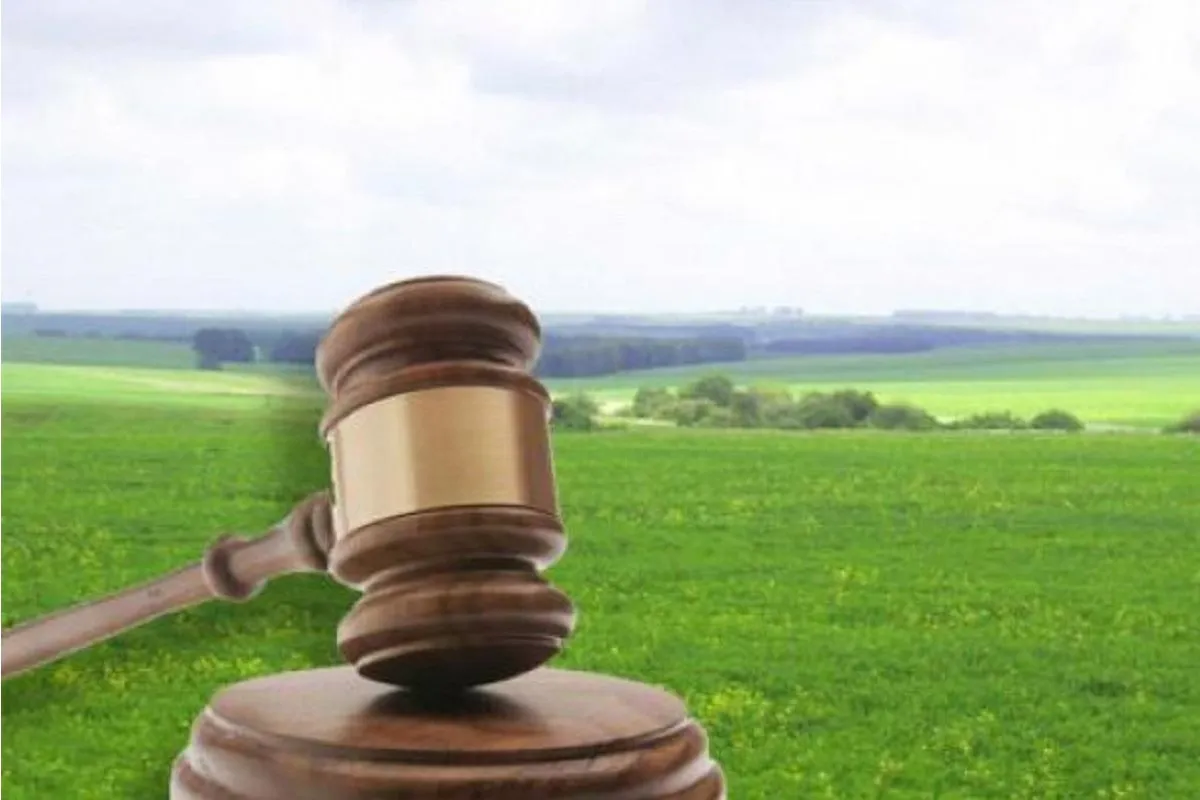 Рада разблокировала подписание закона о продаже земли на онлайн-аукционах