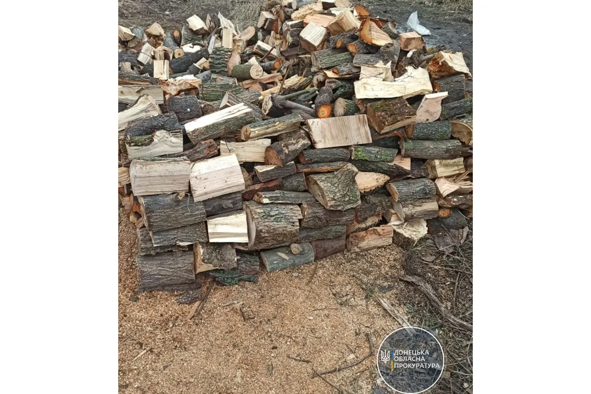 На Донеччині викрито групу осіб, які здійснили незаконну порубку дерев майже на 1 млн грн (ФОТО)