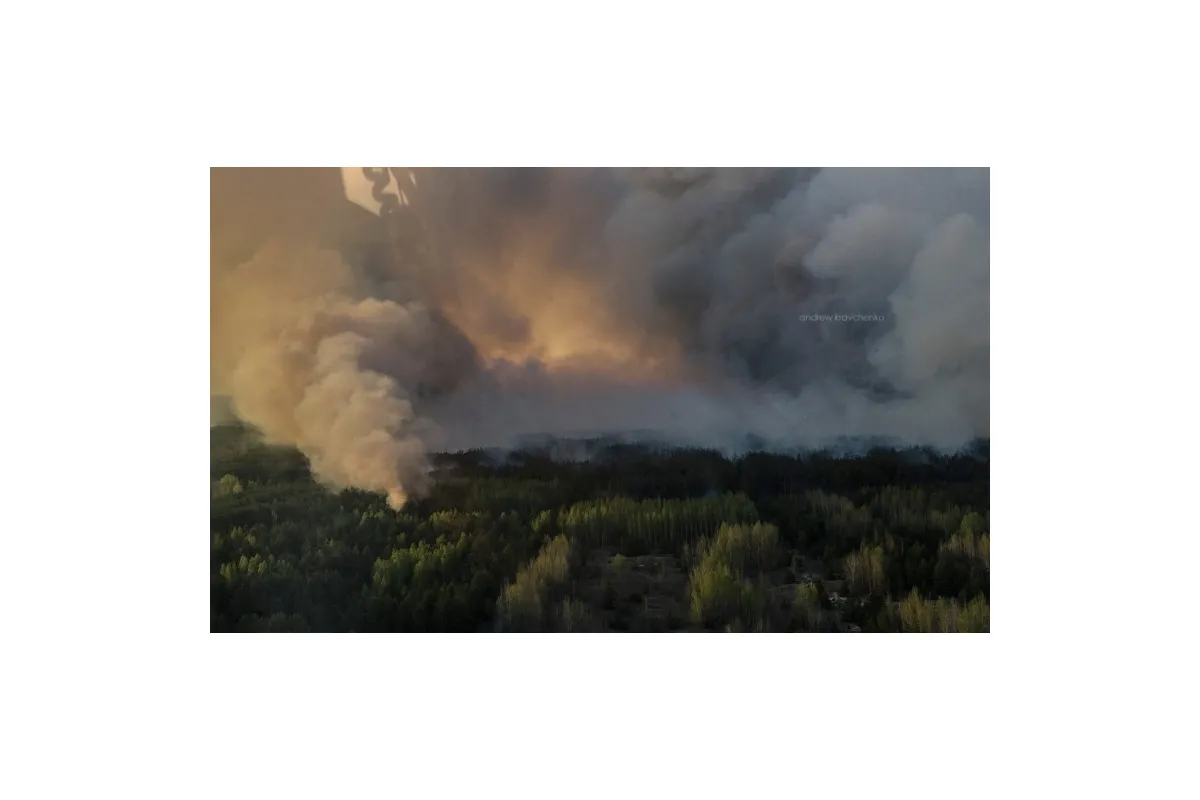 Горів Чорнобильський ліс: для подолання вогню залучили 90 людей та 21 одиницю техніки