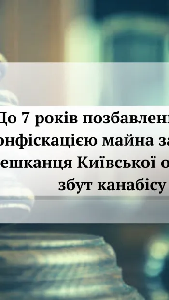 ​До 7 років позбавлення волі з конфіскацією майна засуджено мешканця Київської області за збут канабісу