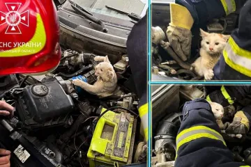 ​На Хмельниччині рятувальники визволили кошеня, яке застрягло в автівці, ховаючись від холоду