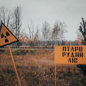 ​Чернобыльский лес хотят “раздерибанить”: в гослесхозе орудуют новые руководители с криминальным прошлым