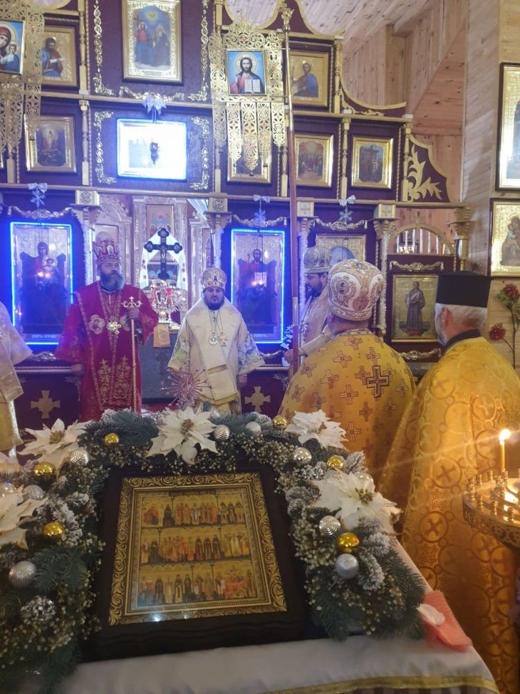 Архієпископ Житомирський і Поліський Володимир (Шлапак)