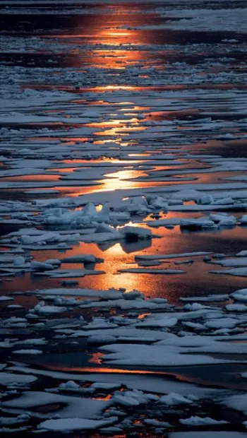 ​Міжнародна кліматична конференція: потепління вже змінює Арктику