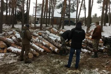 ​СБУ блокувала розкрадання деревини з держлісгоспів Одещини