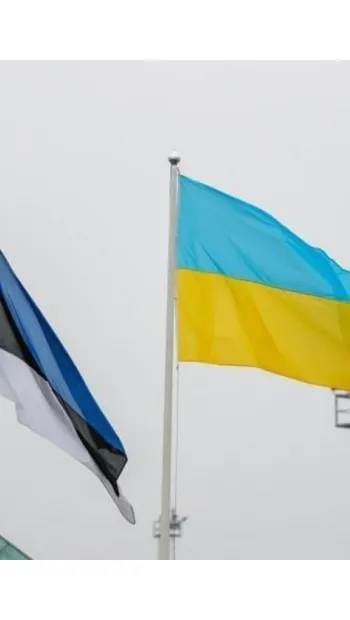 ​Російське вторгнення в Україну : Естонія допоможе відновити Житомирську область